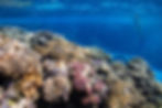 AC1I7988-2.jpg