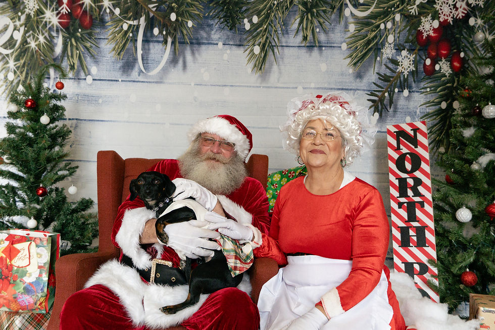 Pet Pictures with Santa Fundraiser