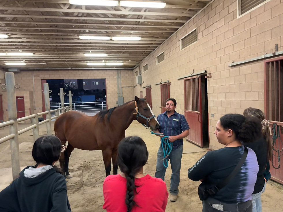 Restraint/Catheter/Vaccinations/Horse Handling Lab