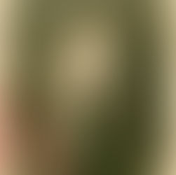 Herman Wendt - Nowosolnianin w Wikipedii