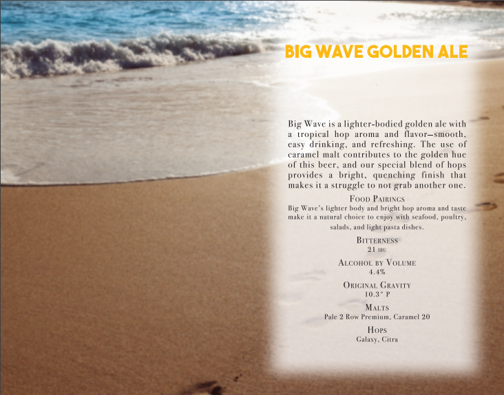 Big Wave Beer Shadow Box Background