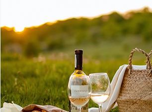 Screen Shot 2023-04-04 at 3.33.00 PM.png