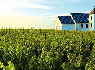 Screen Shot 2023-04-04 at 3.27.36 PM.png