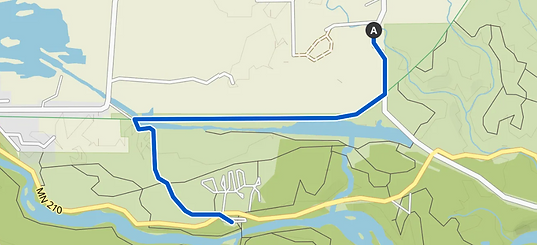 Munger_Swinging_Bridge.png
