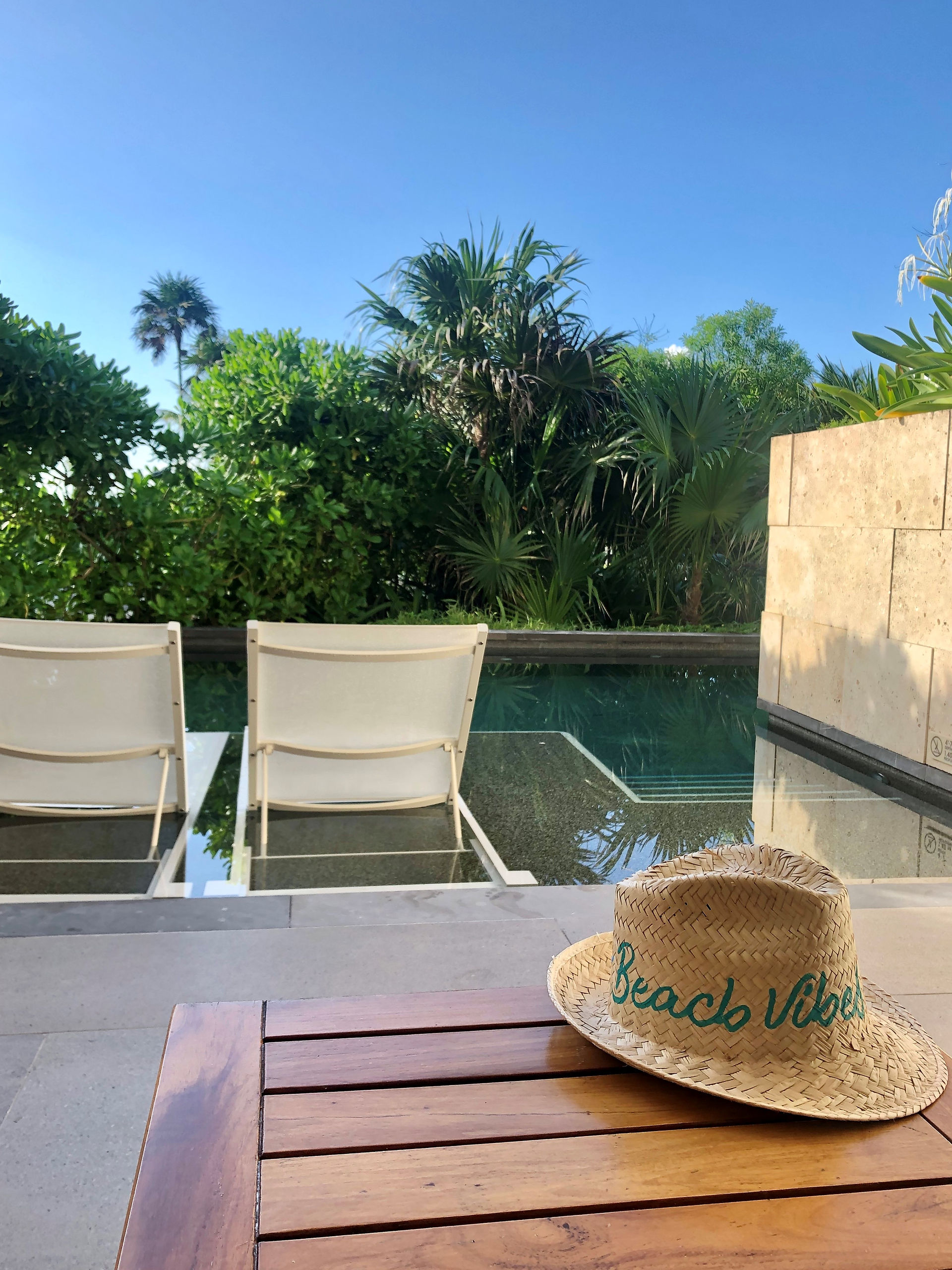 View from the Alcoba Swim Up room at Unico 2087