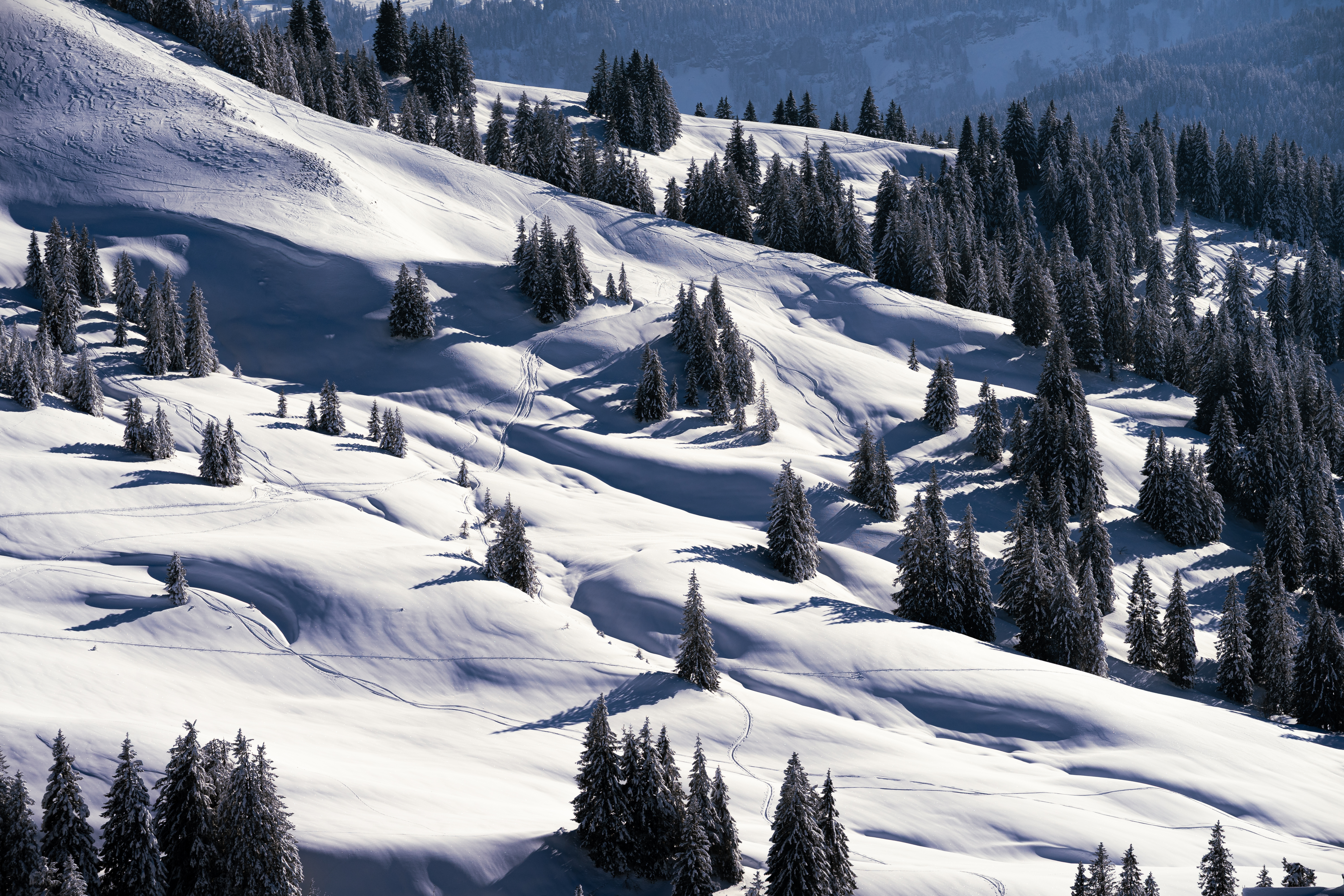 Alpine Fläche
