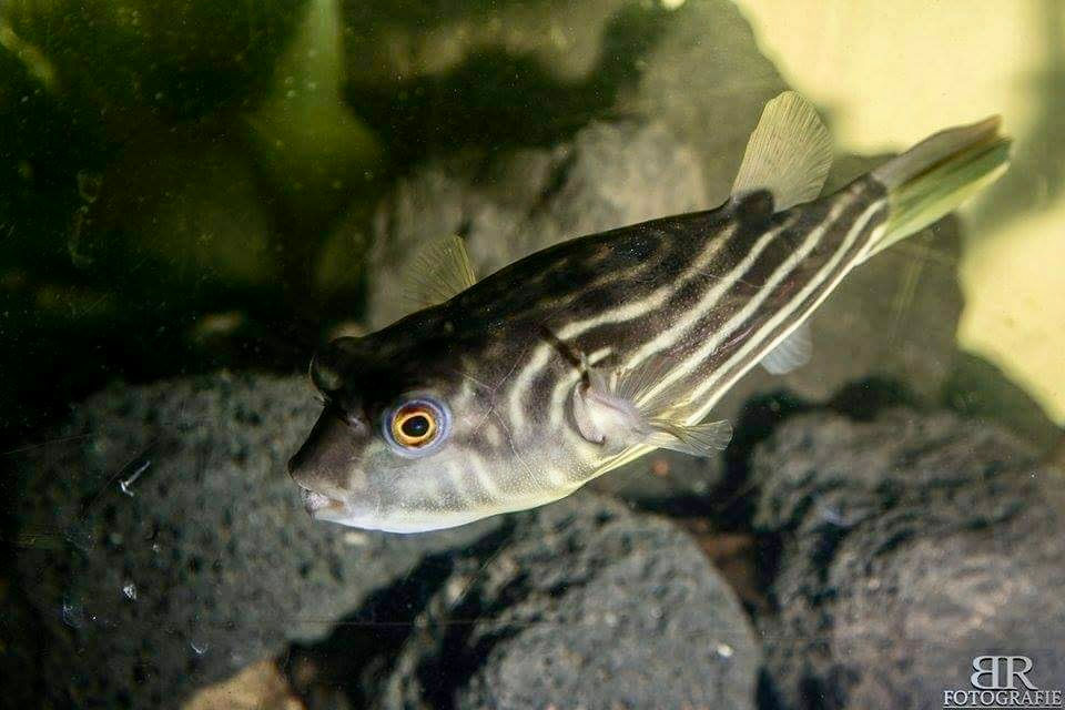 20210425_062402845_iOS