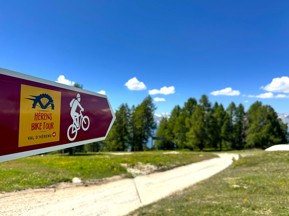 Hérens bike tour