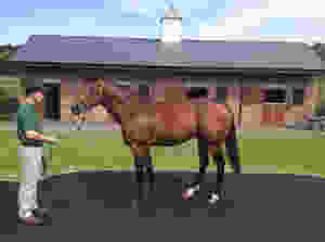 Leaving Newsells.jpg