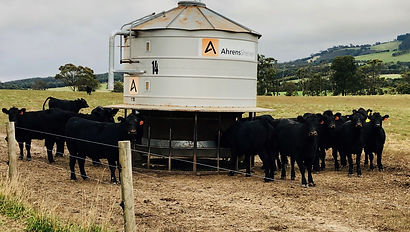 Weaners - Self Feeders (1).jpg