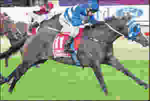 Malaika Pinjarra Cup.jpg