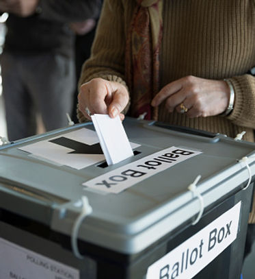 ballot box voting