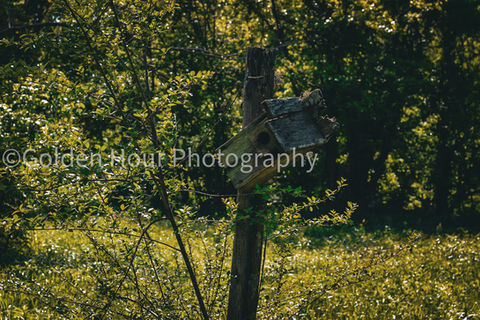 Landscape Photography