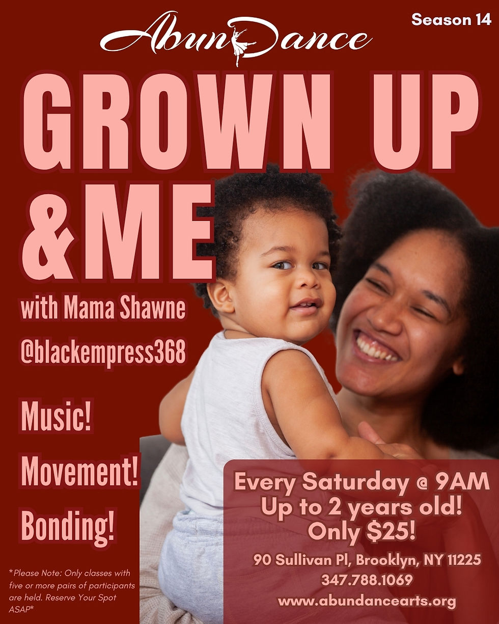 AbunDance Studios Drop In Classes (4)