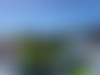 WISPO 2024 gestartet! 