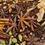 Miniatura: Chá Natural Chai Masala - Blends de ervas