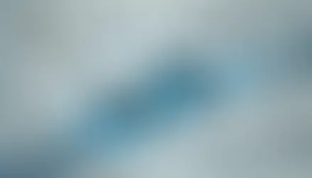 Navigating the Dynamics of Customer Data Platforms in the Automotive Industry