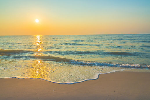 One of our quote is The best investment you can ever make is in your own health