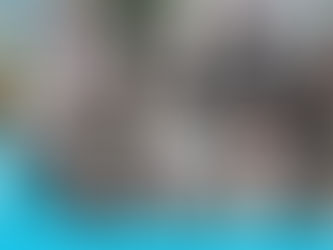 Banco do Brasil: Encontro preparatório para o 32º Congresso Nacional foi realizado nesta 4ª feira