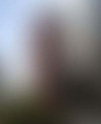 Banco Safra pagará PLR no dia 14/09