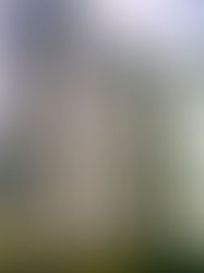 Movimento sindical orienta retorno das sessões de CCV com o Banco do Brasil