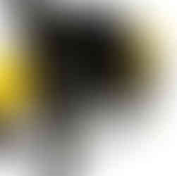 leather lining in front removable panel jockstrap