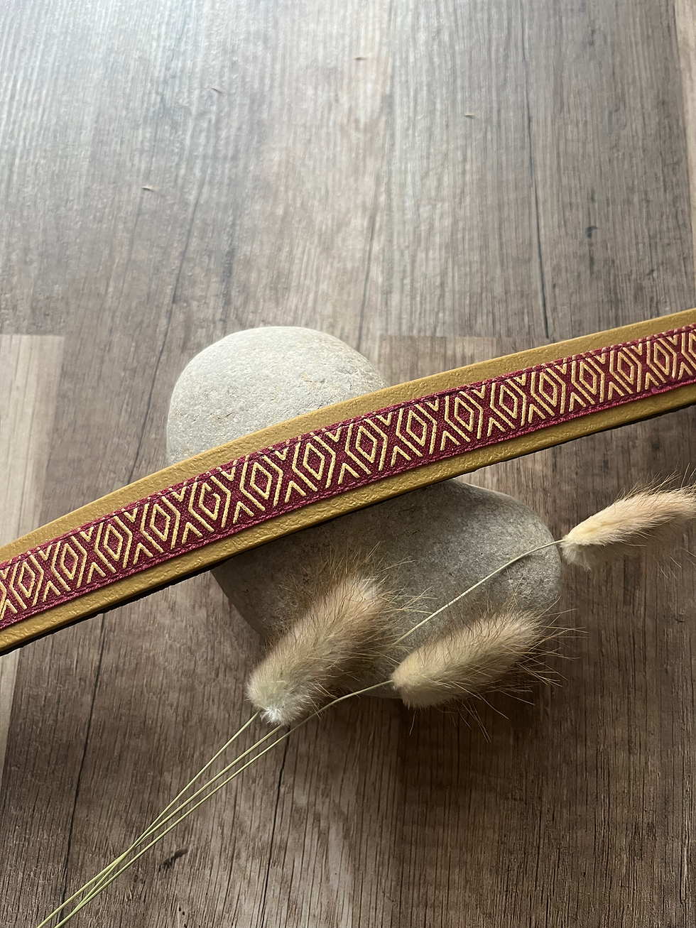 Miniature : Collier Ribbon - BioThane® 25mm