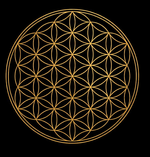 Symbool Academy_edited.jpg