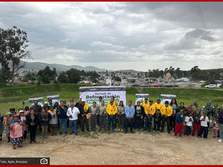 Reforestan el jagüey del barrio de La Preciosa en Amozoc