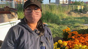 Productores de flor en Atlixco