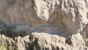 Fósiles del Pleistoceno en Acatzingo