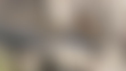 Fósiles del Pleistoceno en Acatzingo