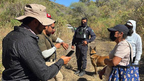 Operativo de Búsqueda