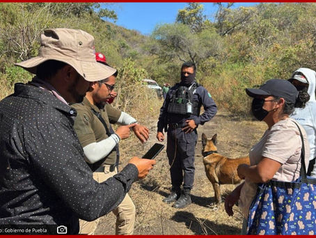 Operativo de Búsqueda