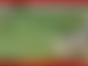 Campo Deportivo El Hoyo