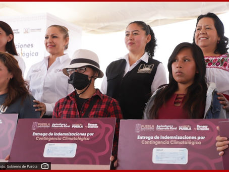 Gobierno de Puebla rescata economía de productores ante heladas atípicas en Chiautzingo