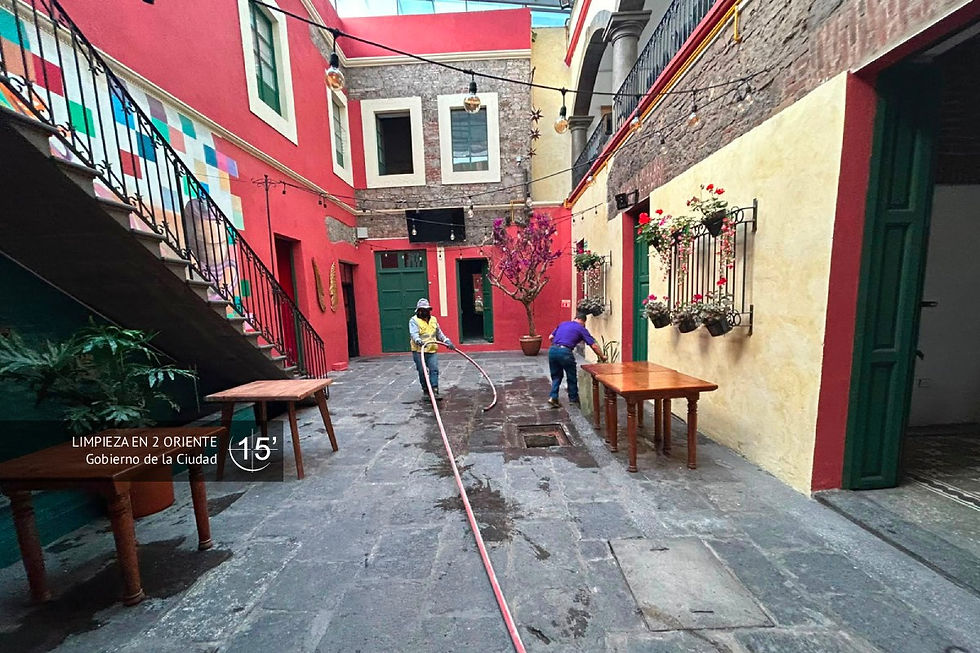 Limpieza Puebla