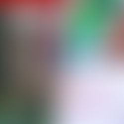 Misiones de San Francisco