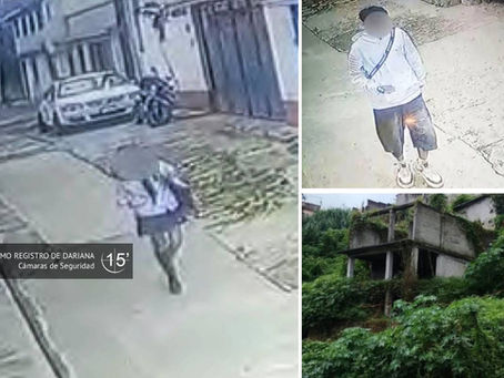 Cámaras de Seguridad
