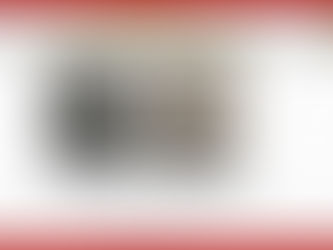 Por maltrato de 12 caninos en un supuesto refugio, vinculados a proceso