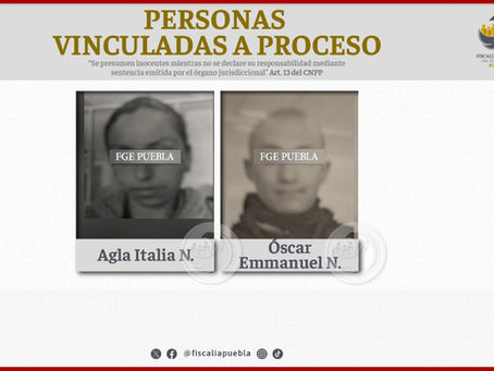 Por maltrato de 12 caninos en un supuesto refugio, vinculados a proceso