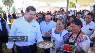 CHILE EN NOGADA