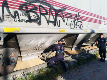 Paran tren y roban trigo a su paso por Xochimehuacán