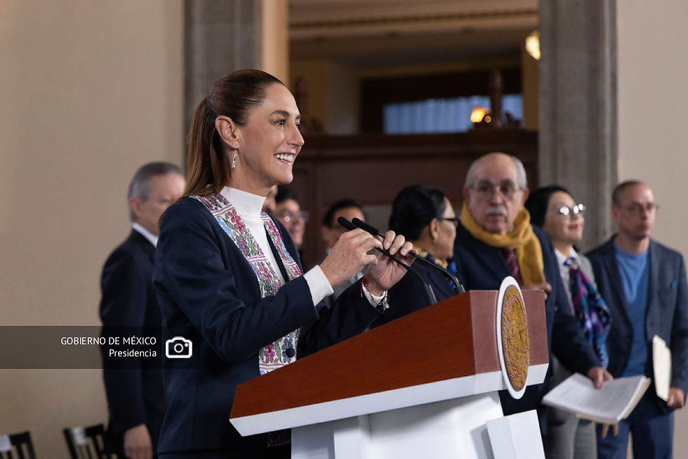 La iniciativa fue presentada este 25 de febrero en la Mañanera del Pueblo.