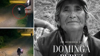 Doña Dominga Pérez Comisario