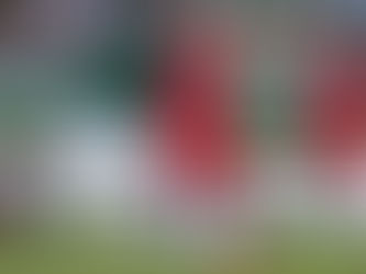 México y Gales 0-0 en partido amistoso