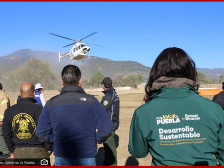 Autoridades de Puebla y Tlaxcala combaten incendios en Libres y Tlachichuca