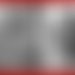 Javier López Zavala