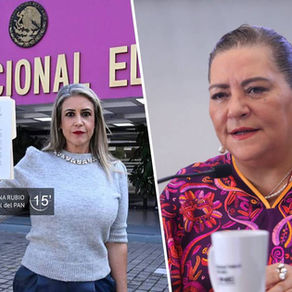 PAN Vs Guadalupe Taddei