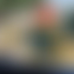 Árboles en Calzada Zaragoza